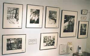 Photo Exhibit